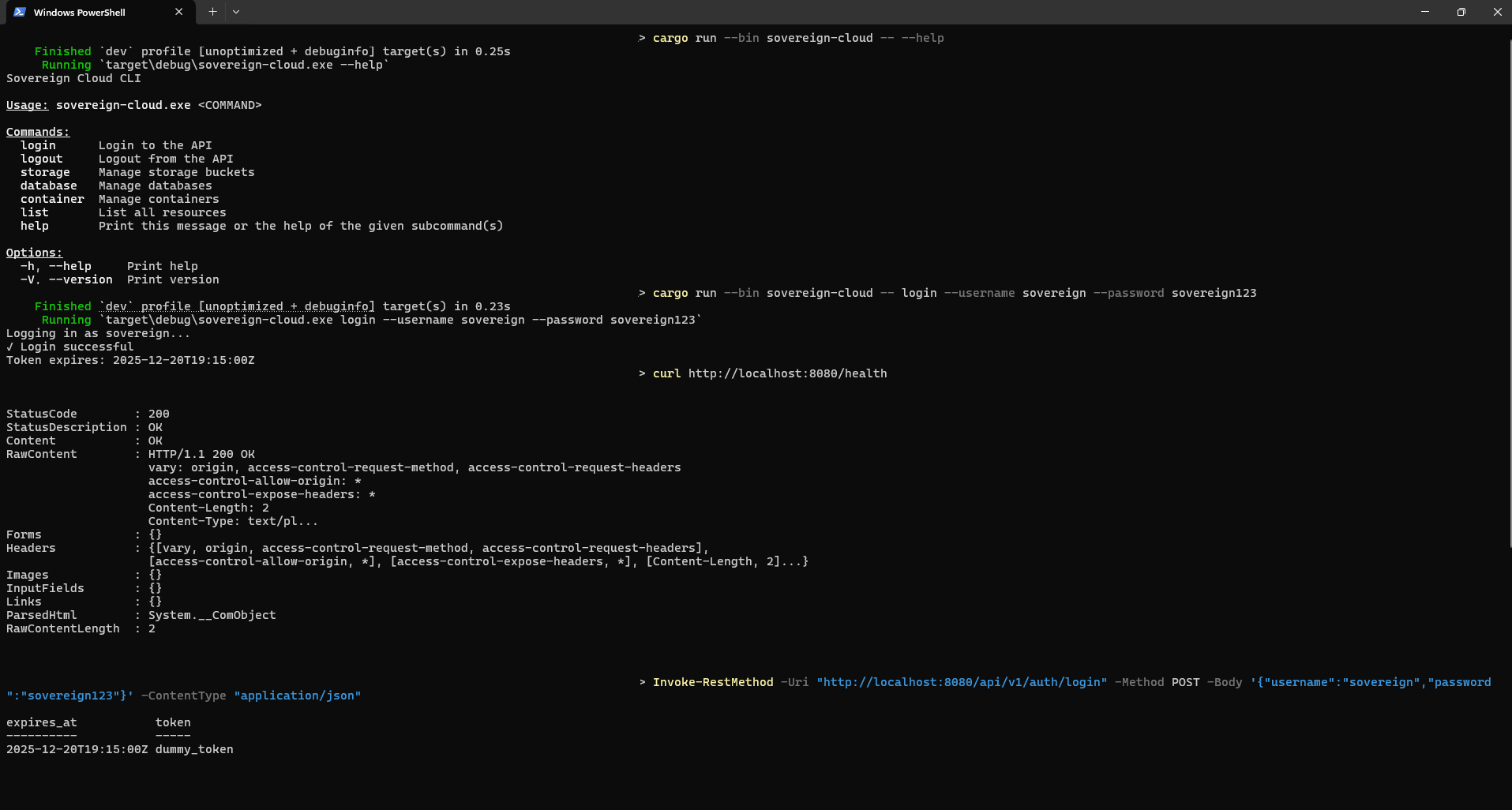 Rust Cloud CLI API Screenshots